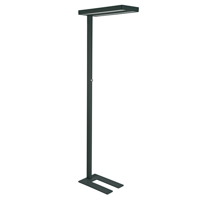 Vloerlamp MAUL Juvis LED beweging- daglichtsensor dimbaar hg 195cm zwart