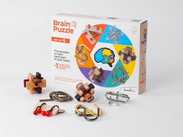 Brain Puzzles – set of 6