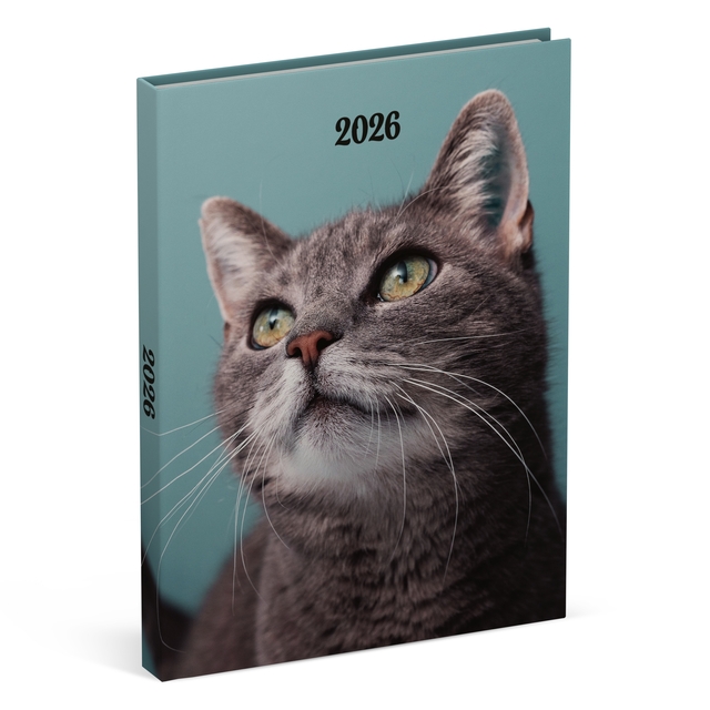 Agenda 2026 Lannoo 110×150 My favourite friends 7dagen/2pagina’s cats