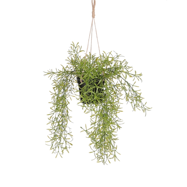 Kunstplant Mica Rhipsalis hangend in pot groen Ø9,5cm 40x20cm