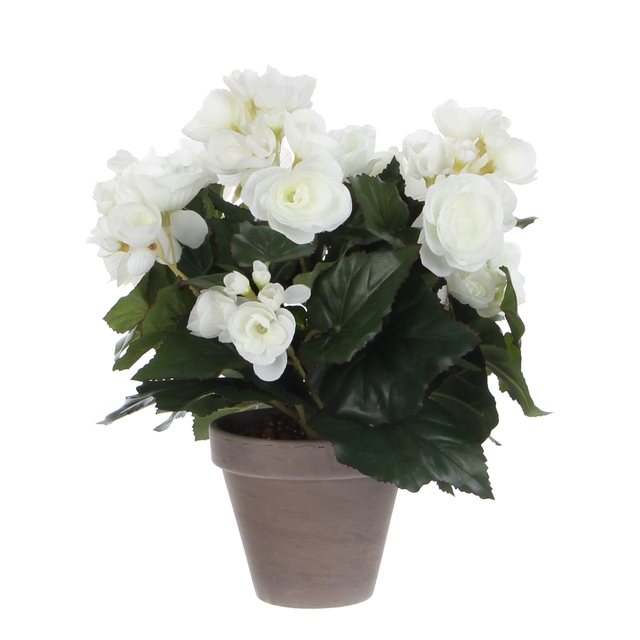 Kunstplant Mica Begonia wit in pot Stan grijs Ø25 30cm