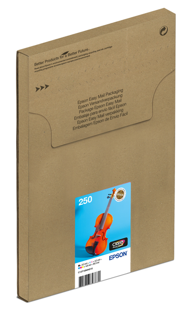 Inktcartridge Epson 250 T16N84 zwart  + 5 kleuren  Easymail