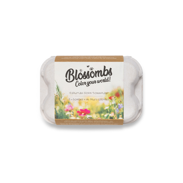 Giftbox Blossombs bloemen eierdoosje à 6 zaadbommetjes